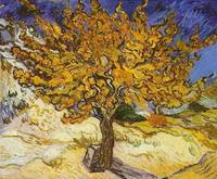 1889 Mulberry Tree, The