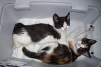 VFL.RU - ваш фотохостинг