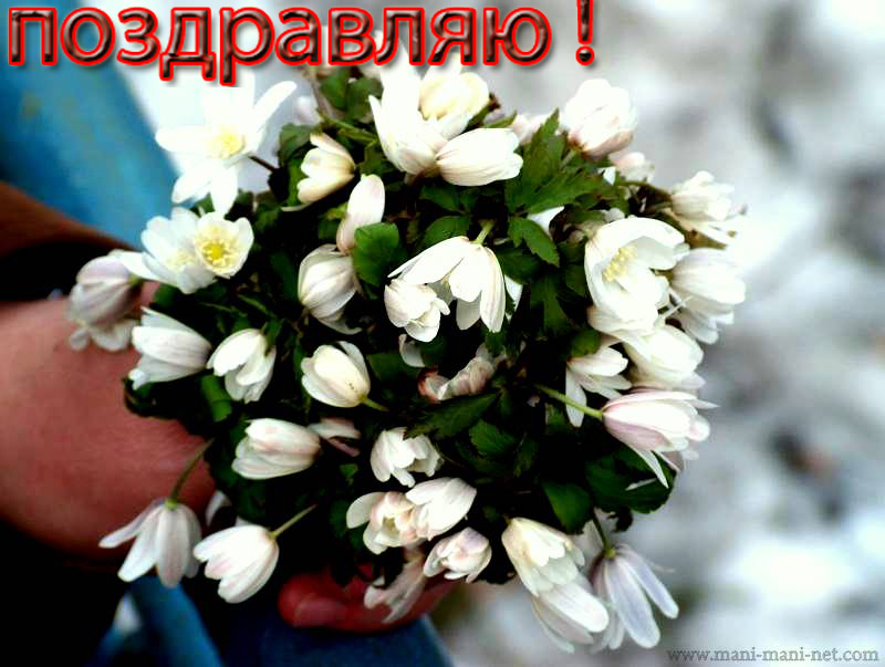 besplatnaia otqry`tqa,2 (20)