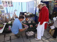 Выставка-ярмарка сад, огород