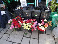 Выставка-ярмарка сад, огород