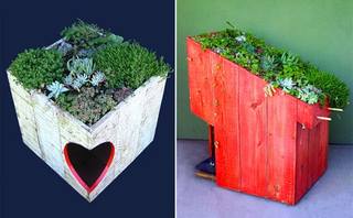 идеи-для-животных-15