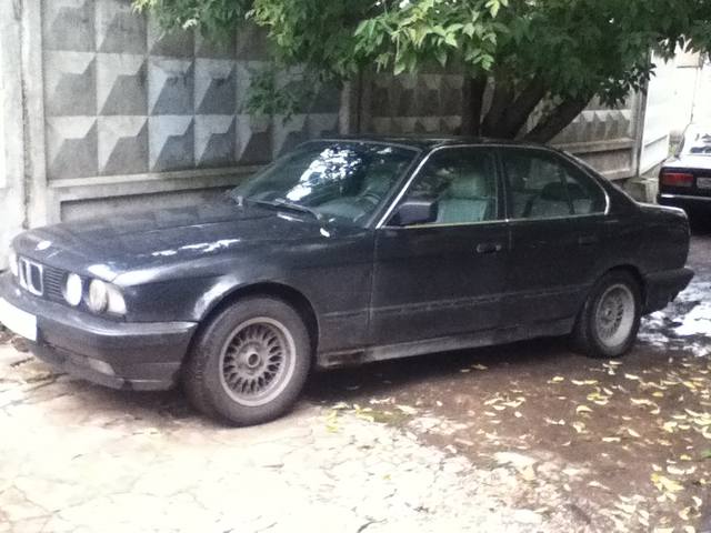 1070521_m.jpg