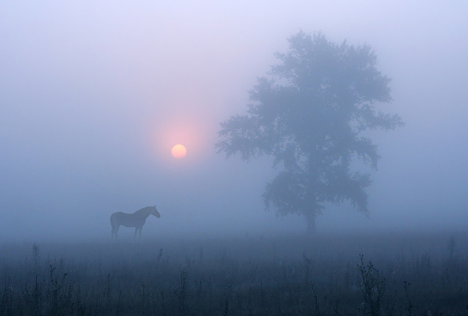 fog photography 12