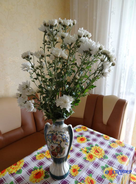 Букет хризантем