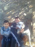 Папа сын и собака