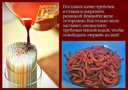 Как сделать червя в
