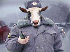 мусор76