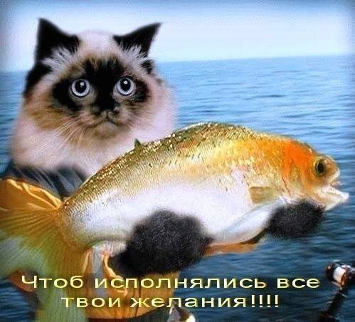 VFL.RU - ваш фотохостинг VFL.RU - ваш фотохостинг
