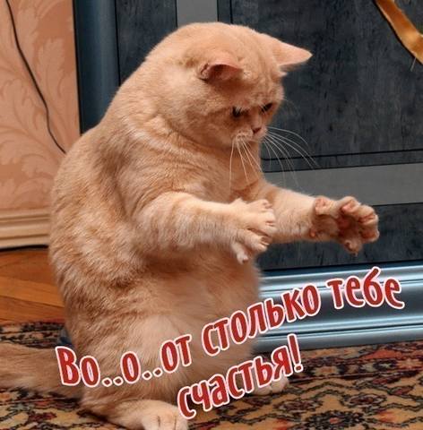 VFL.RU - ваш фотохостинг VFL.RU - ваш фотохостинг