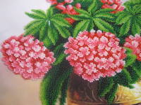 1220923_s.jpg