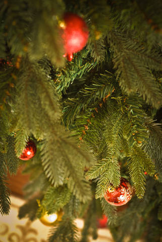 Новый год: покупка и украшение новогодней елки