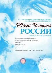 img122 — копия