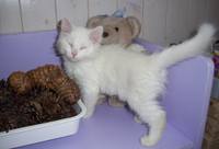 VFL.RU - ваш фотохостинг