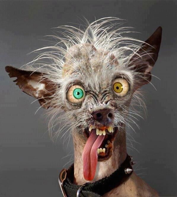 Картинка дня