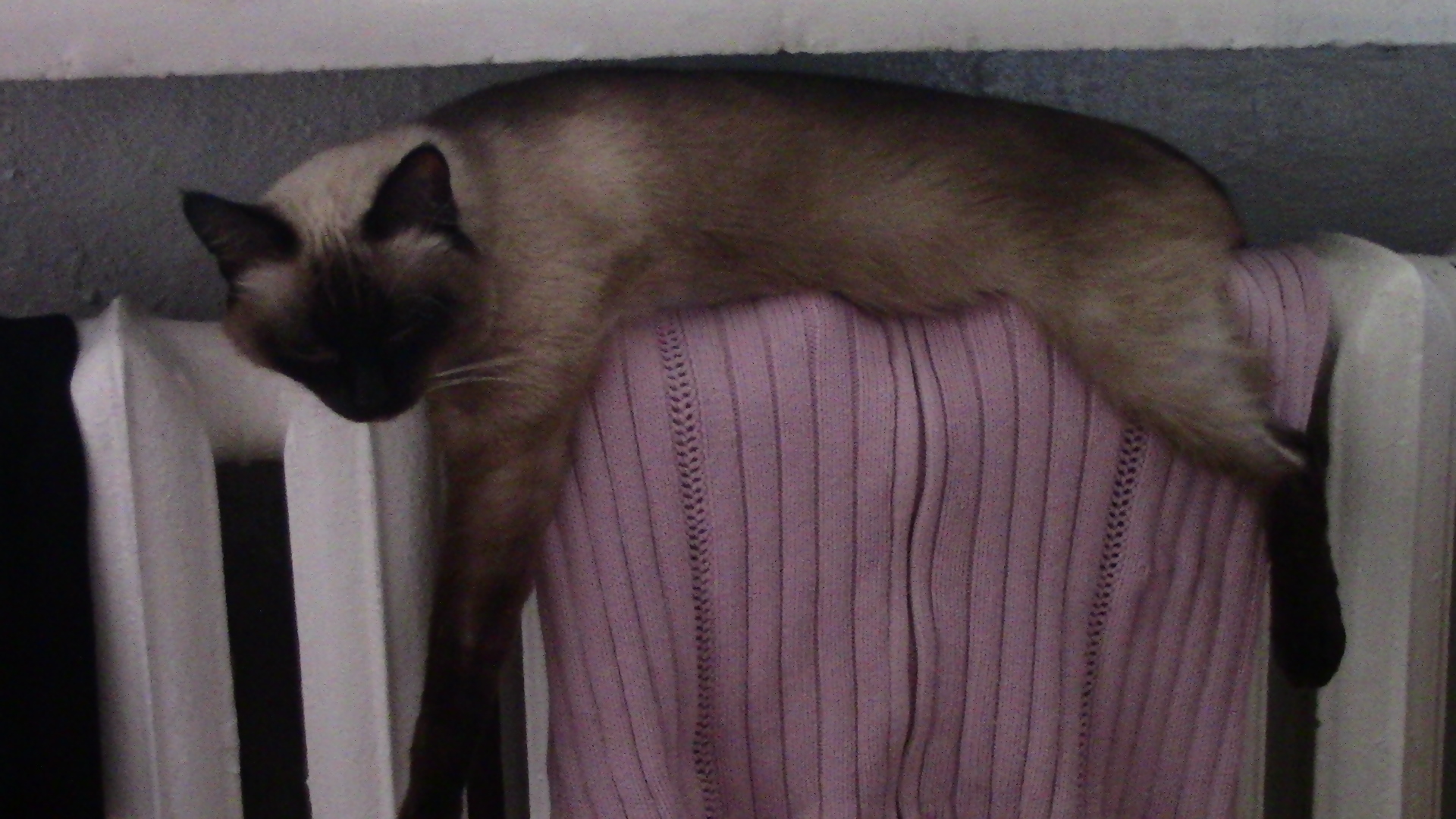 Изображение 004