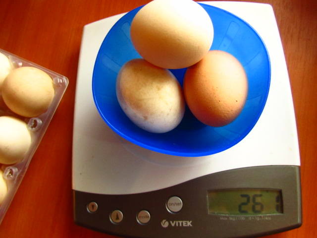 Обсудим размер яиц кур 1413150_m