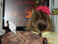 VFL.RU - ваш фотохостинг