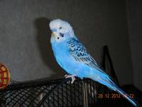 VFL.RU - ваш фотохостинг