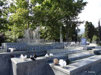 Цветомузыкальный фонтан