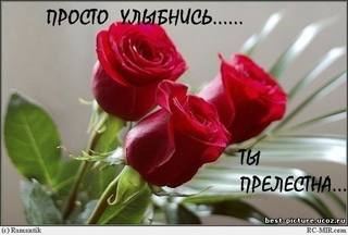 VFL.RU - ваш фотохостинг
