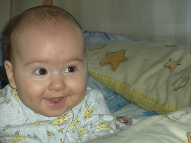 VFL.RU — ваш фотохостинг