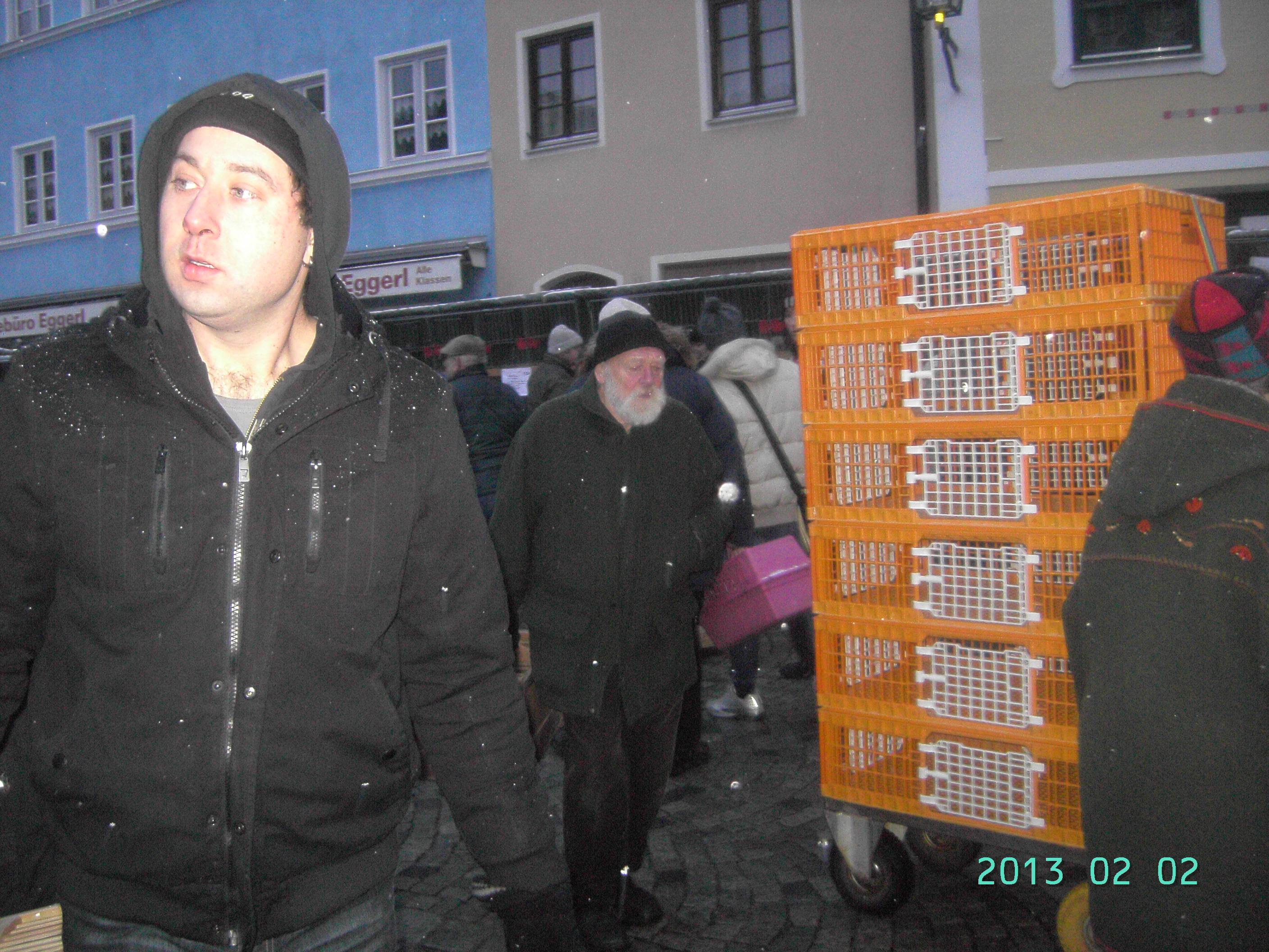 Austria-Germania 02.02.13. 118