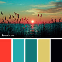 in color balance 31