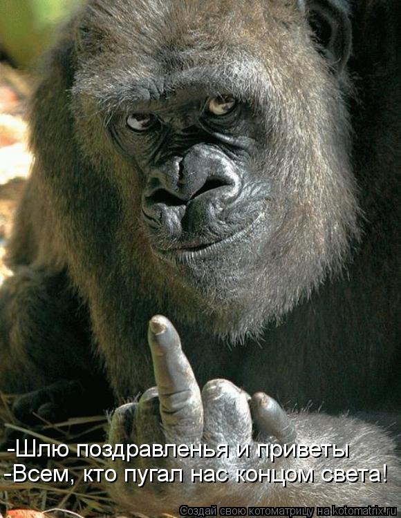 Картинка дня