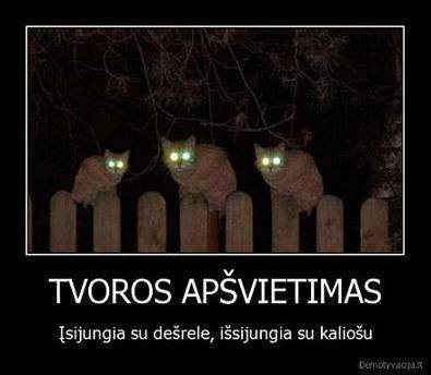 Paveikslėlis