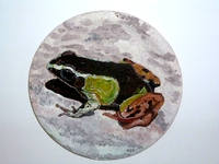 Роспись на ломаной яичной скорлупе,гуашь(на заказ) 1785399_s