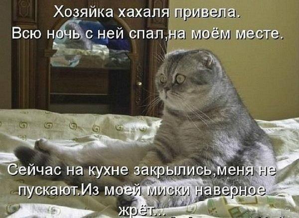 Посмеялся сам - поделись с другом!!!