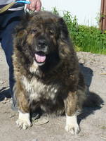 VFL.RU - ваш фотохостинг