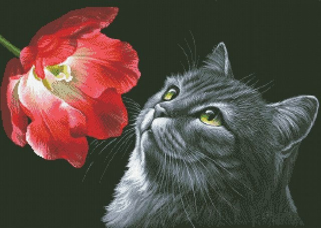 Кот с тюльпаном