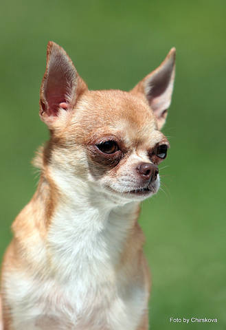 http://images.vfl.ru/ii/1362417333/1c9eb7ba/1876598_m.jpg