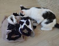 VFL.RU - ваш фотохостинг