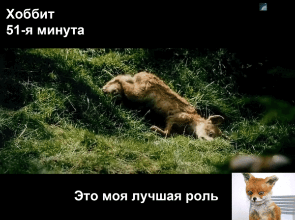 VFL.RU - ��� �����������