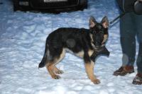 Re-exposure of DSC 0067