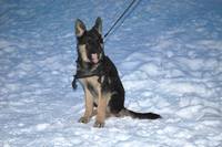 Re-exposure of DSC 0069