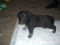 VFL.RU - ваш фотохостинг