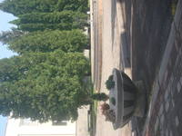 VFL.RU - ваш фотохостинг