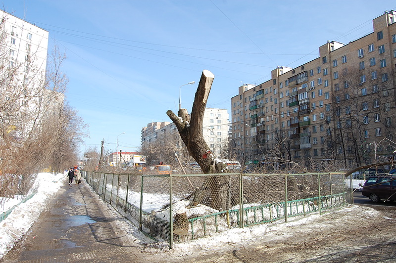 Символ Собянинской стройки