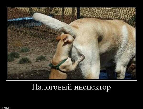Народные способ увеличить половой член