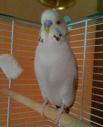 Изображение 035