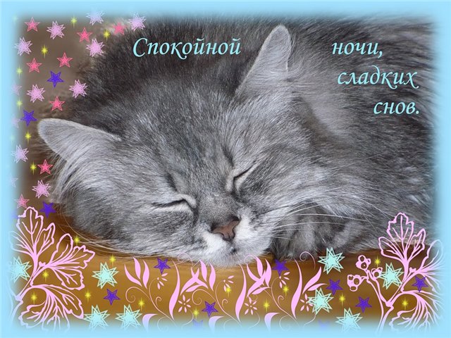 http://images.vfl.ru/ii/1367003326/7eac4d82/2227574.gif