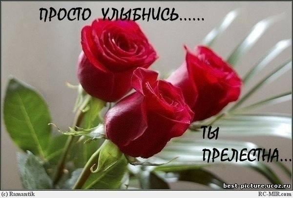VFL.RU - ваш фотохостинг