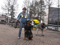 VFL.RU - ваш фотохостинг