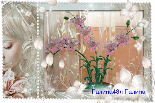 http://images.vfl.ru/ii/1367336875/53e4b38c/2253483_m.jpg