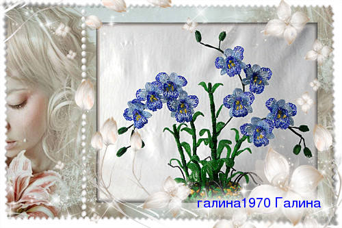 http://images.vfl.ru/ii/1367339874/1402550f/2253851_m.jpg