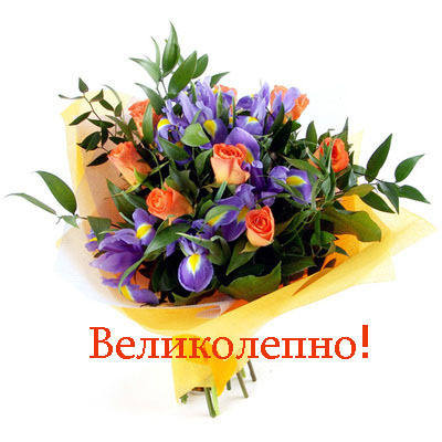 velikolepno